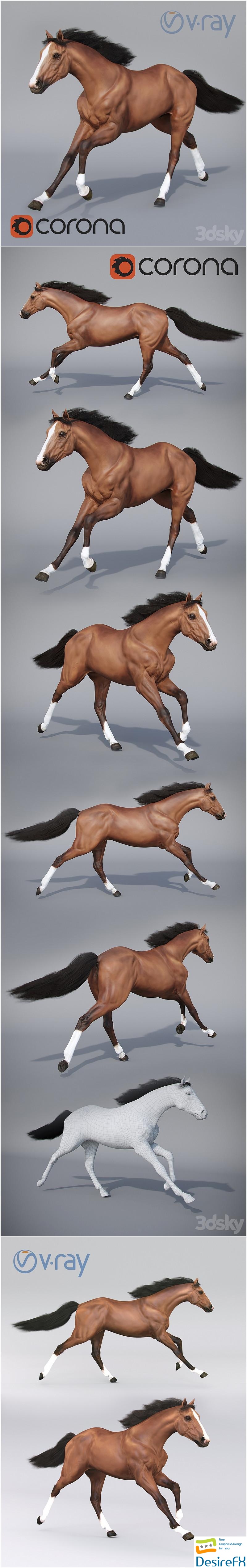 Running horse 02 3D Model