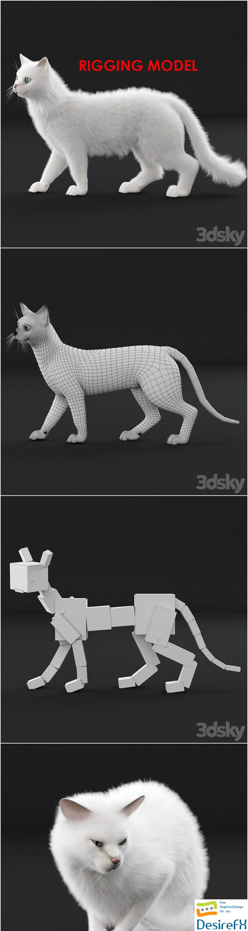 White cat 3D Model