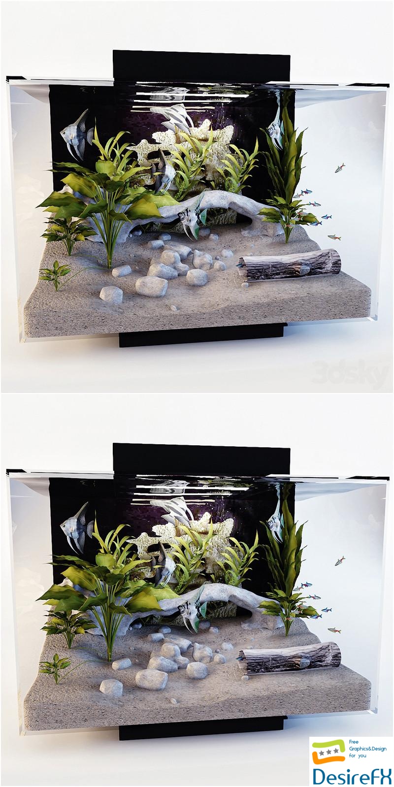 Aquarium 3D Model