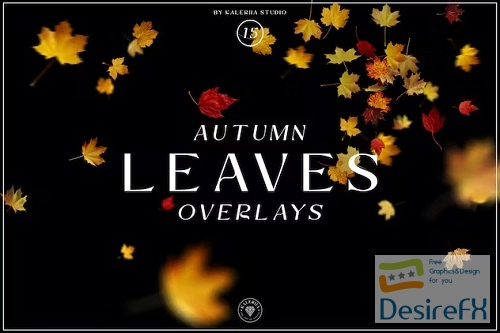 Autumn Leaves Overlays - Z2TSJ7H