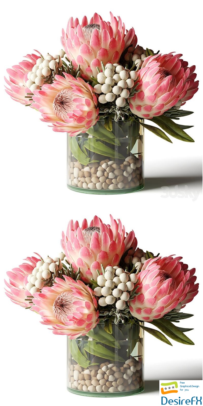 Bouquet of pink proteas with balls 3D Model