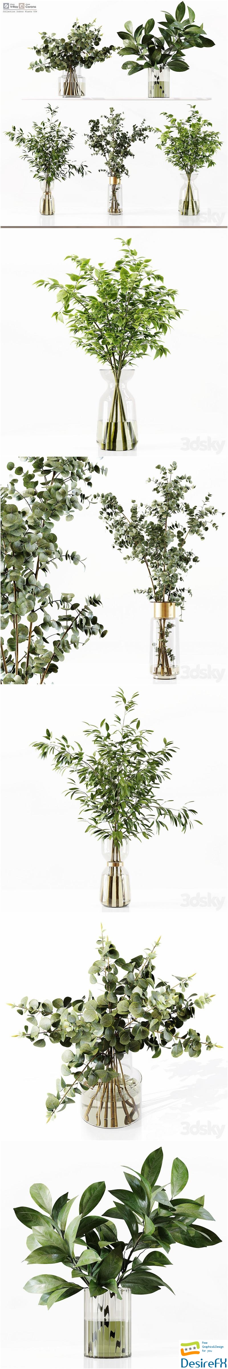 Collection Indoor Plants 034 3D Model