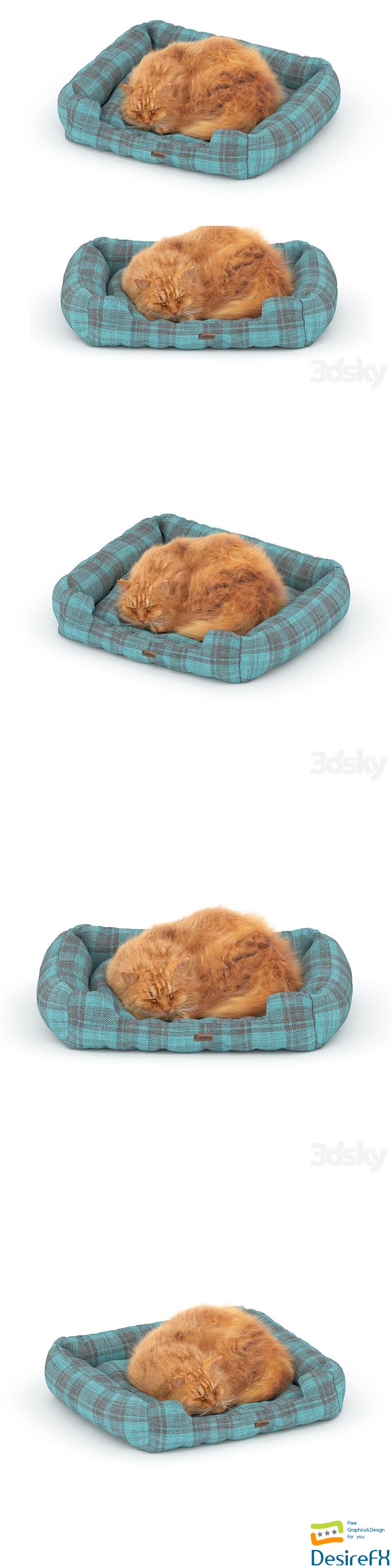 Ginger cat on the bed 3D Model