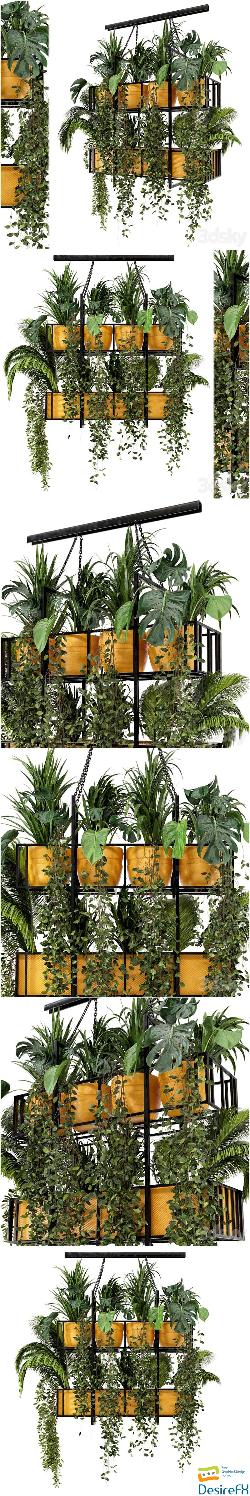 Indoor Hanging Plants in Metal Box - Set 103 3D Model