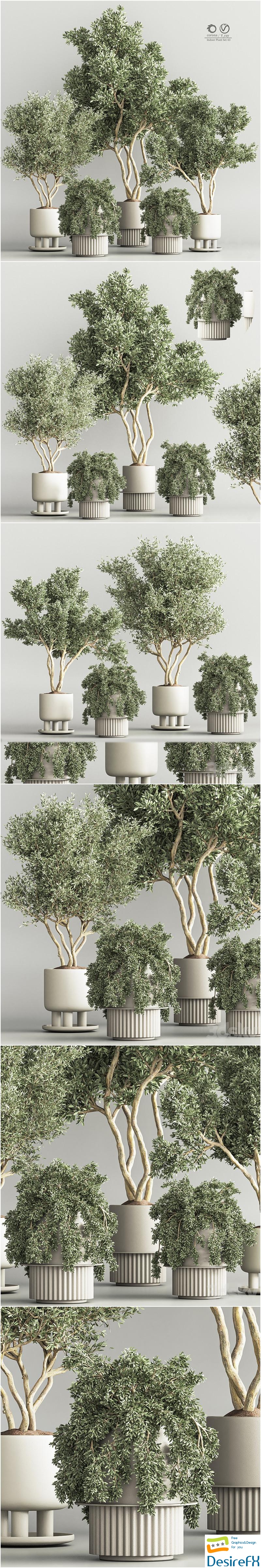 Indoor Plant Set 48 3D Model