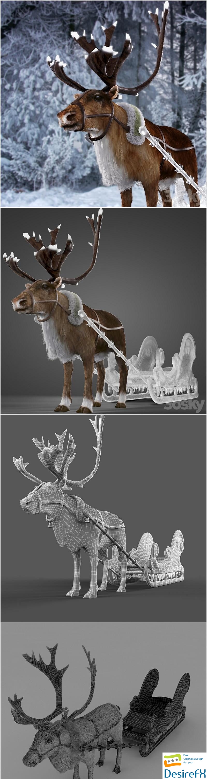 North Deer 3D Model