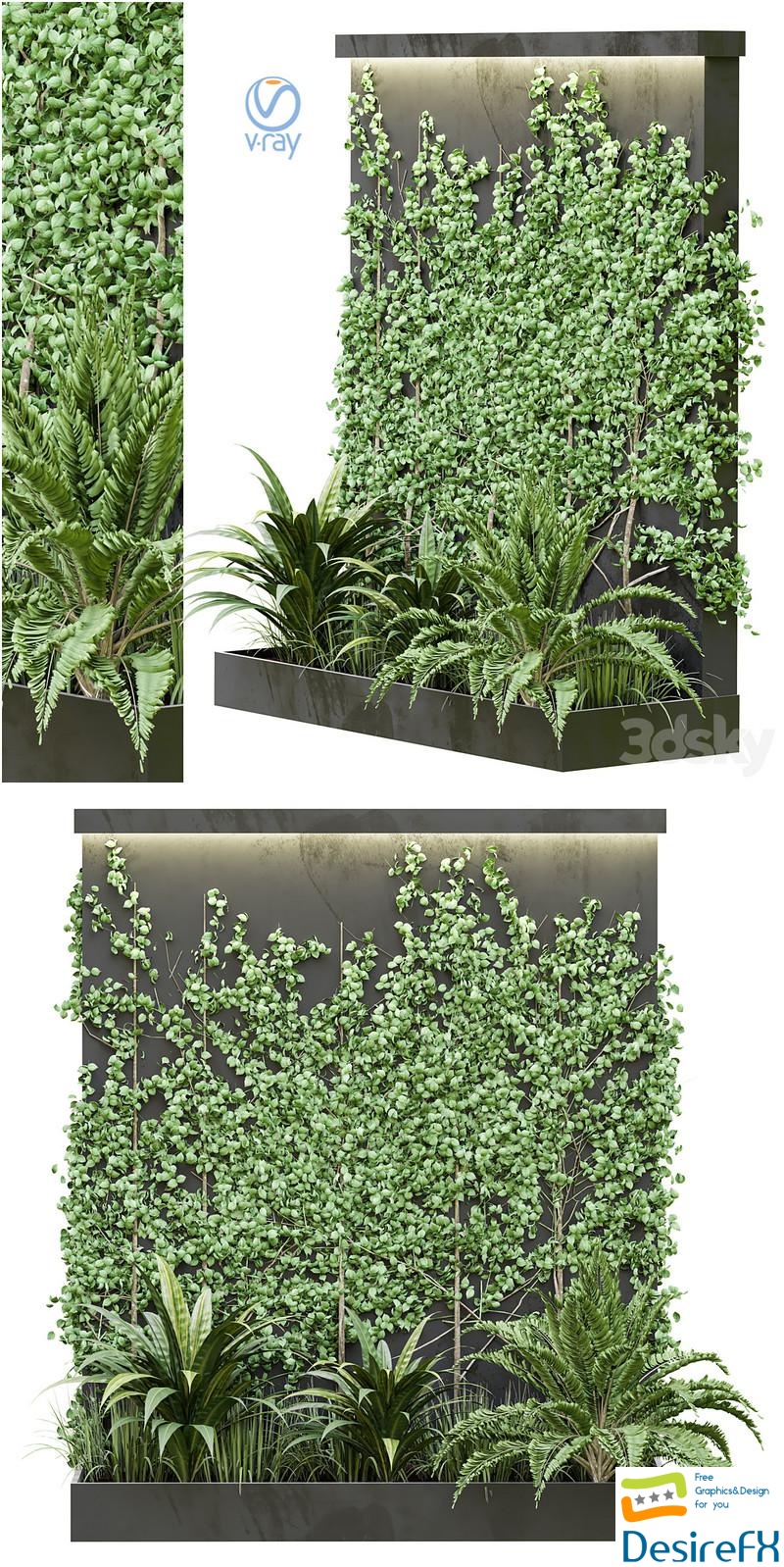 Outdoor Plant Vol38 3D Model