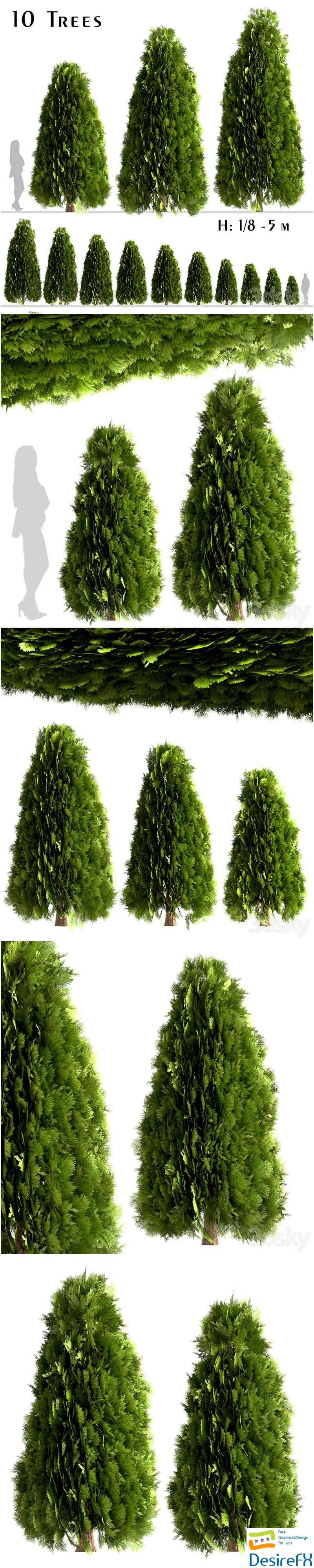 Set of Thuja Occidentalis Trees (Arborvitae) 3D Model