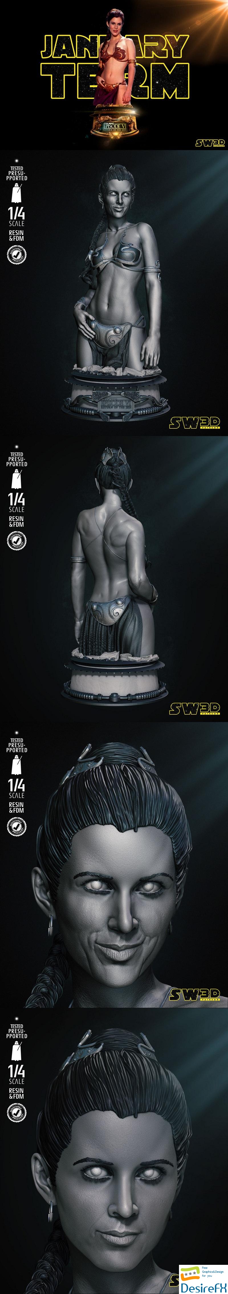 Star Wars - Leia Bust - 3D Print