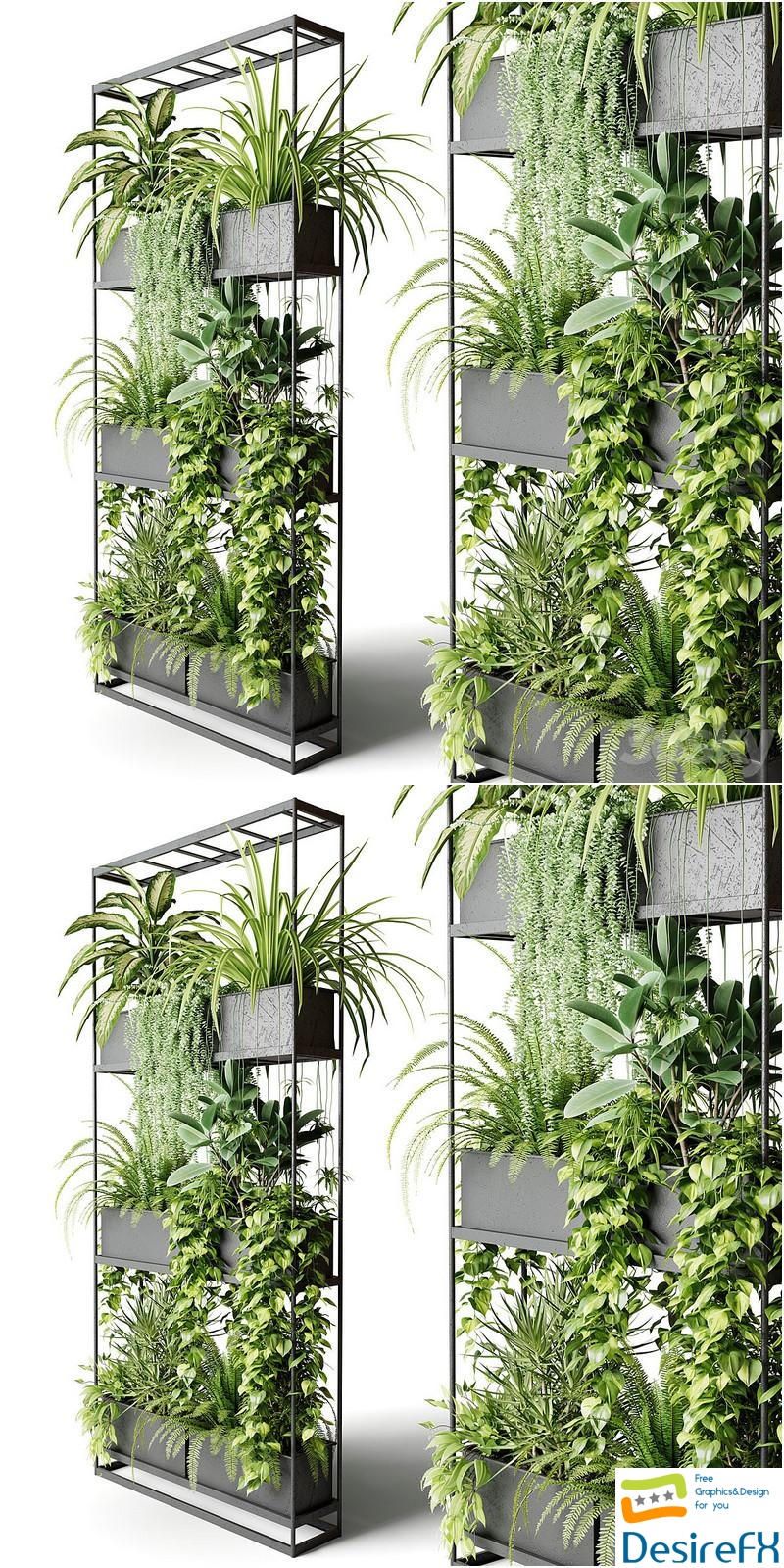 Wide metal rack with indoor plants 3D Model