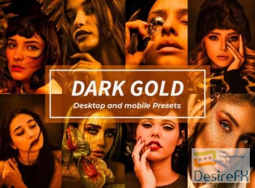 12 Dark Gold Lightroom Presets