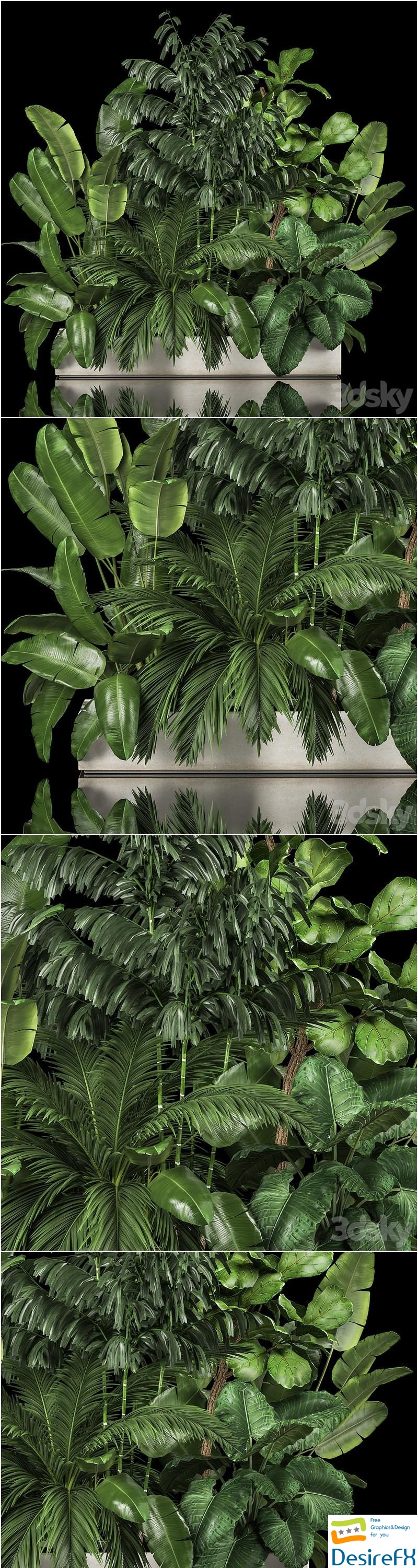 A collection of plants for a home garden with thickets and bushes, palm, strelitzia, flowerbed, flowerpot, ficus lirata. 1114 3D Model