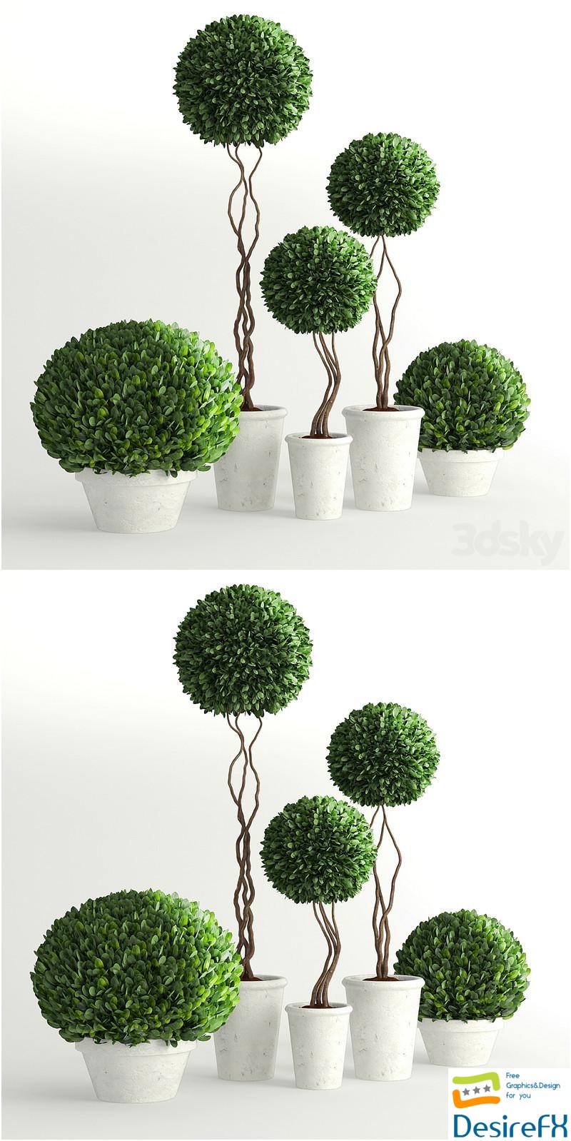 Collection of Plants 2 3D Model