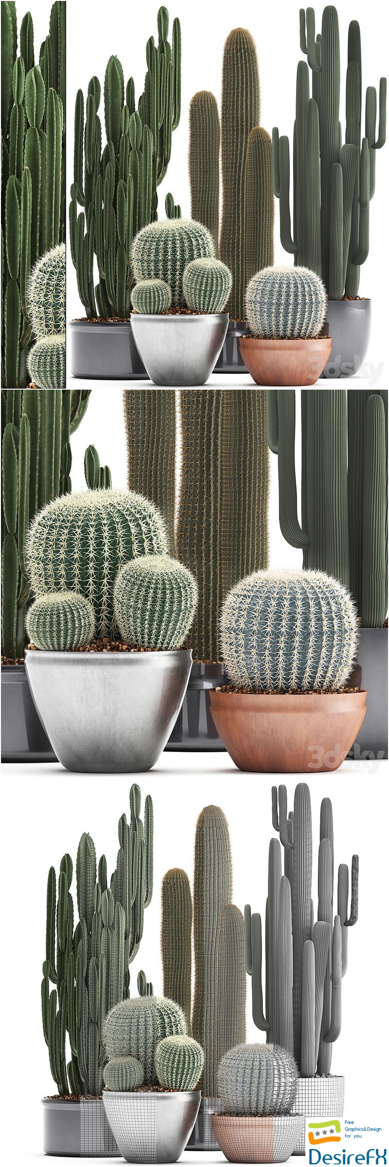 Collection of plants 300. Cactus set. Echinocactus, round cactus, cereus, Barrel cactus, indoor cactus, desert plants 3D Model