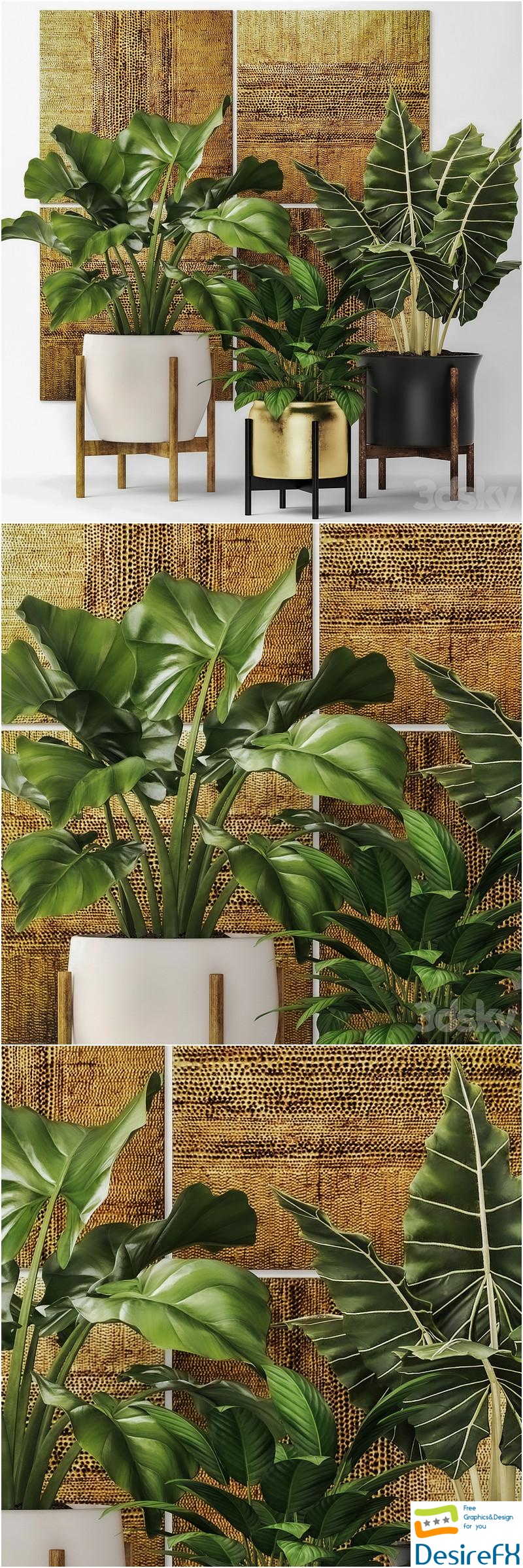 Collection of plants in pots 7. Flower, pot, bush, flowerpot, interior, indoor, alocasia, luxury, gold, paintings, abstraction, luxury 3D Model