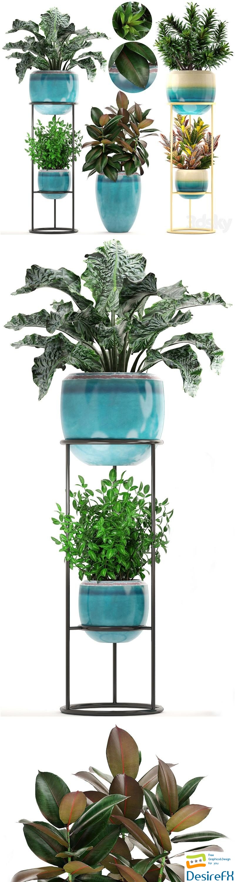 Collection of plants. Shelf with flowers, flower stand, pot, ficus, croton, alocasia, flowerpot, dracaena 3D Model
