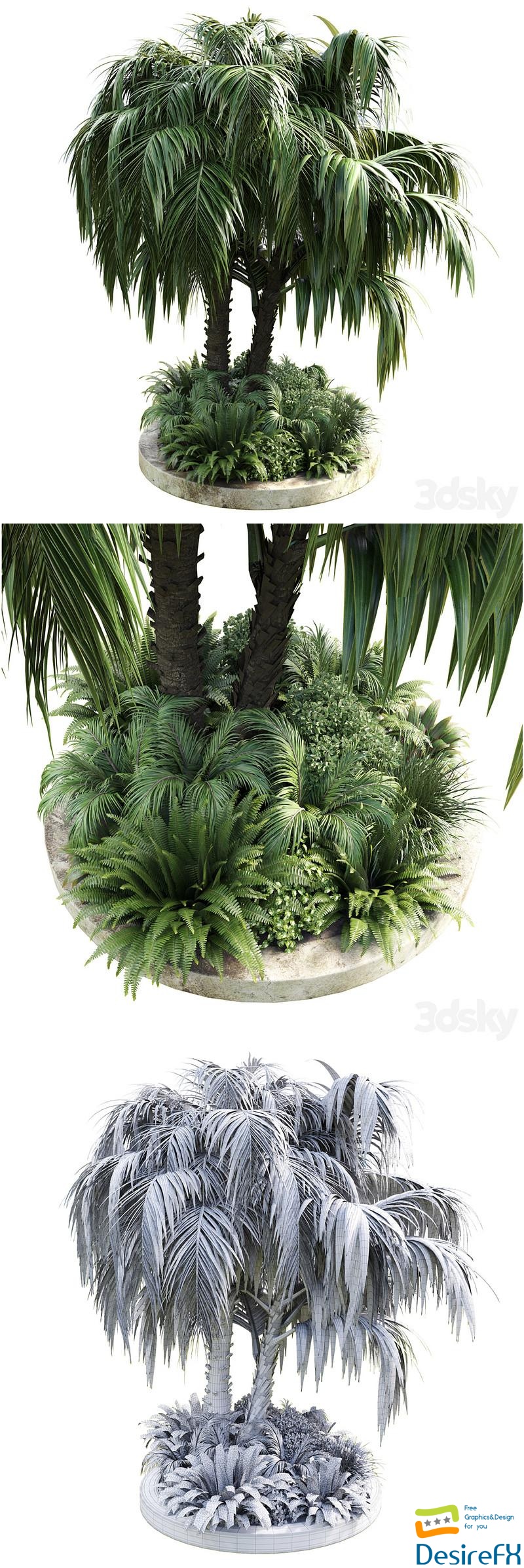 Collection Outdoor plant 39 in garden pot tree palm bush fern concrete dirt old vase 3D Model