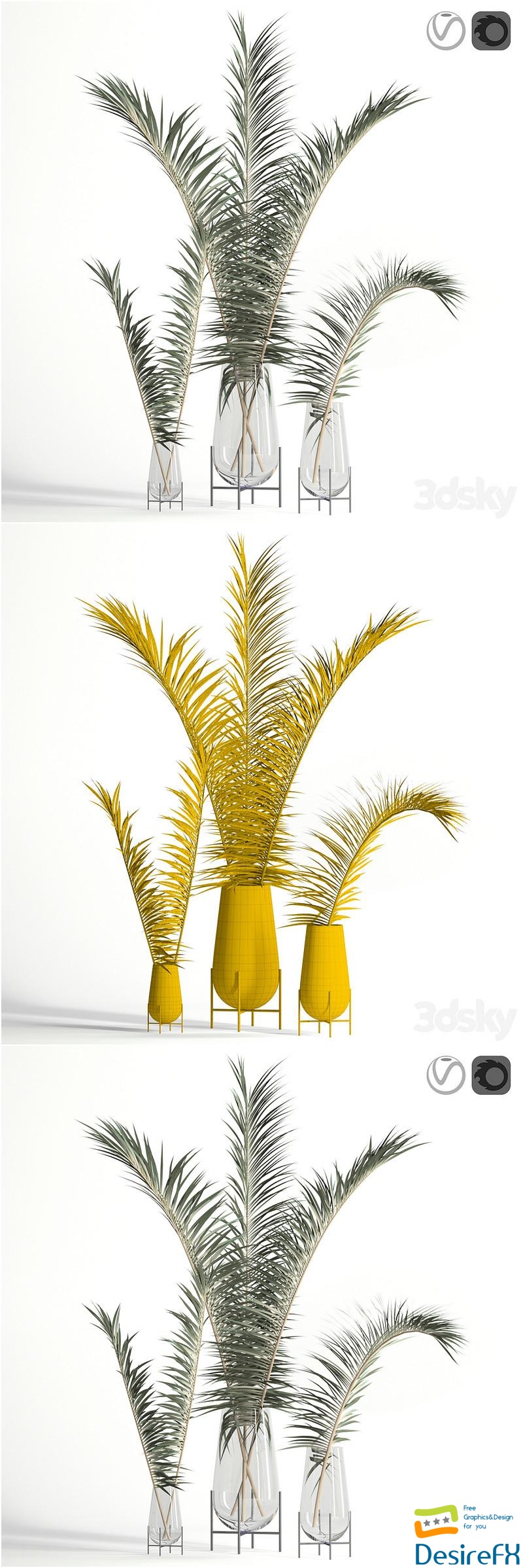 Dry palm leaves in Echasse vases 3D Model