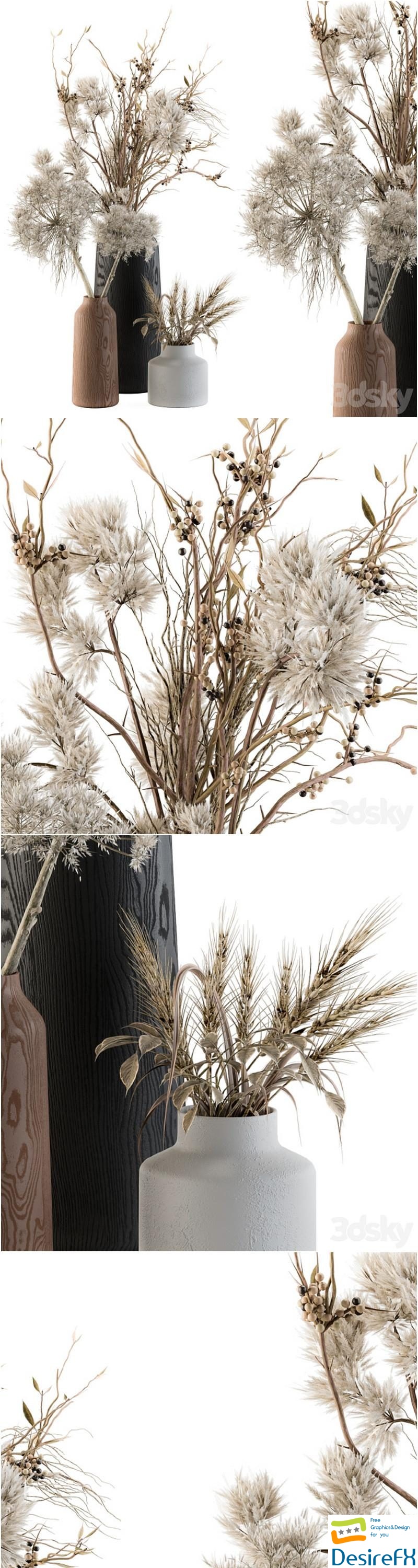 Dry plants 33 - Pampas and Dried Branch 3D Model