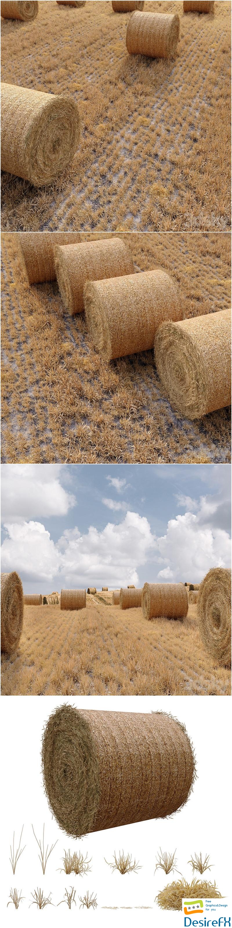 Farm field with hay bale 3D Model