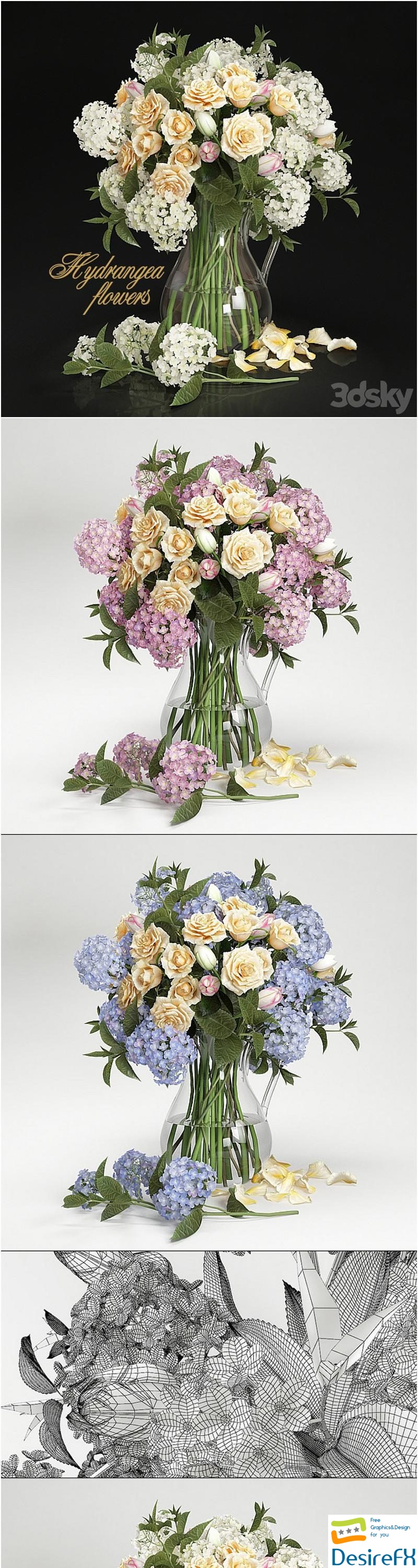 Hydrangea flowers 3D Model