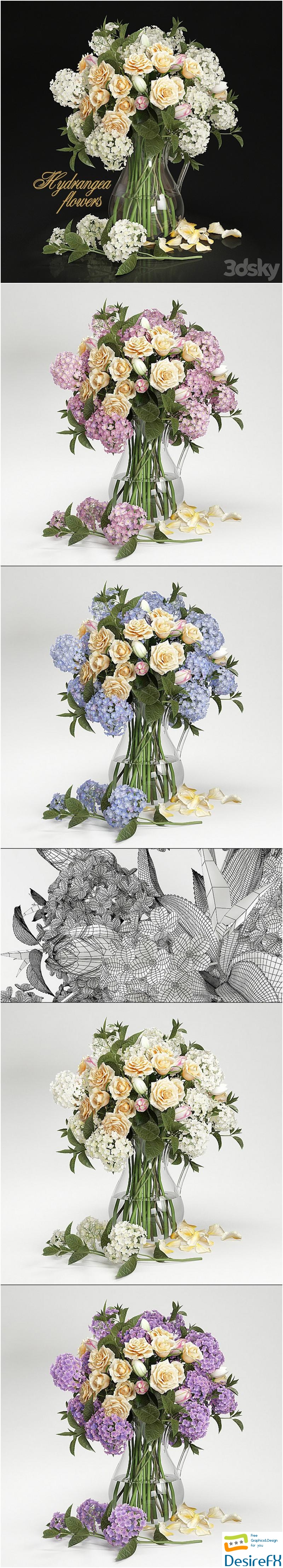 Hydrangea flowers 3D Model