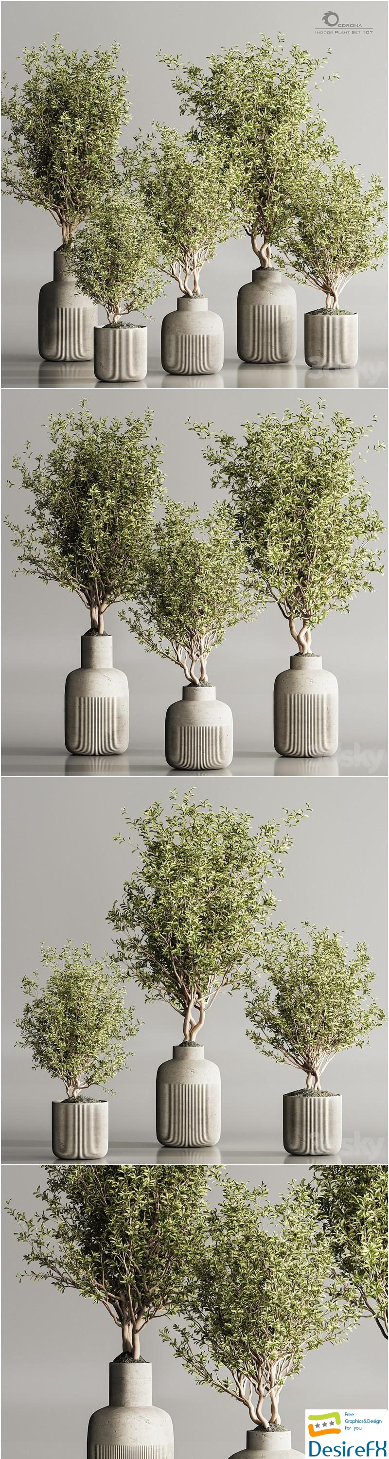 Indoor Plant Set 107 3D Model