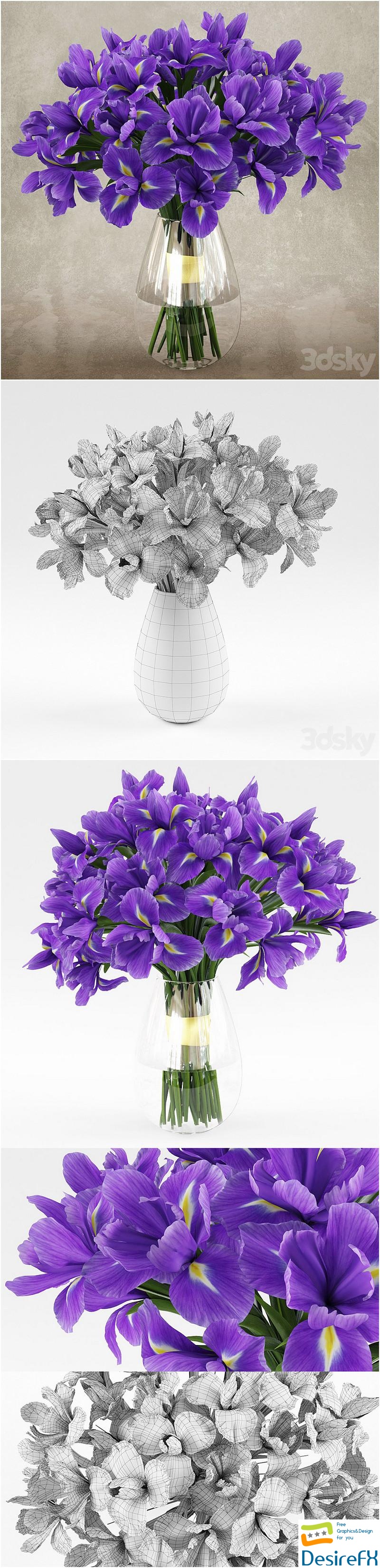 Irises 1 3D Model