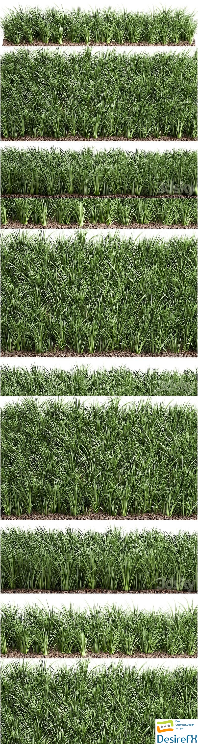 Lawn 941. grass, bushes, landscaping 3D Model