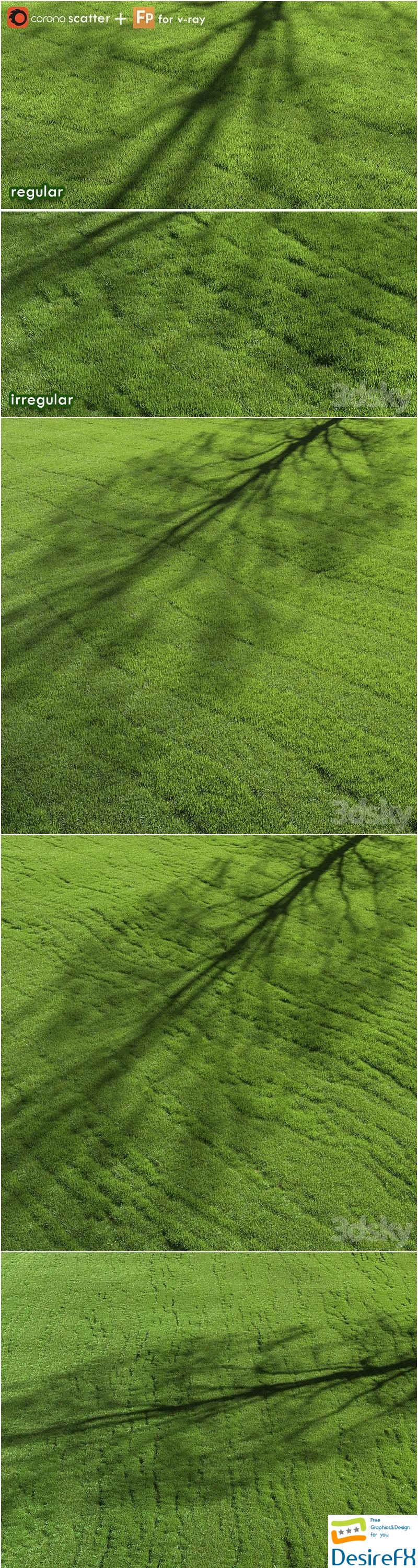 Lawn grass 3D Model