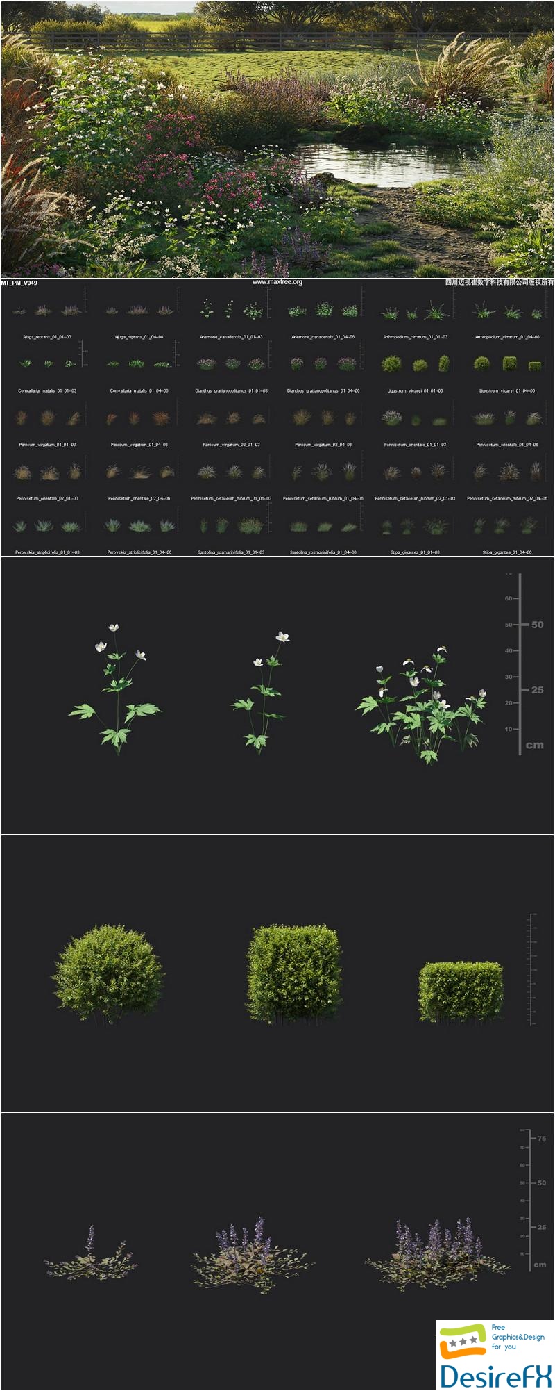 Maxtree - Plant Models Vol.49 new 3D Model