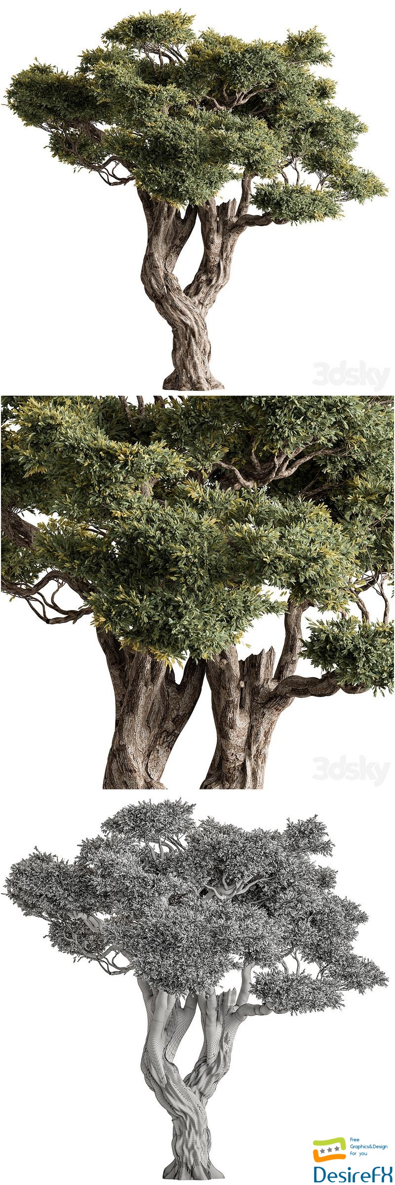 Ola Tree Set 294 3D Model