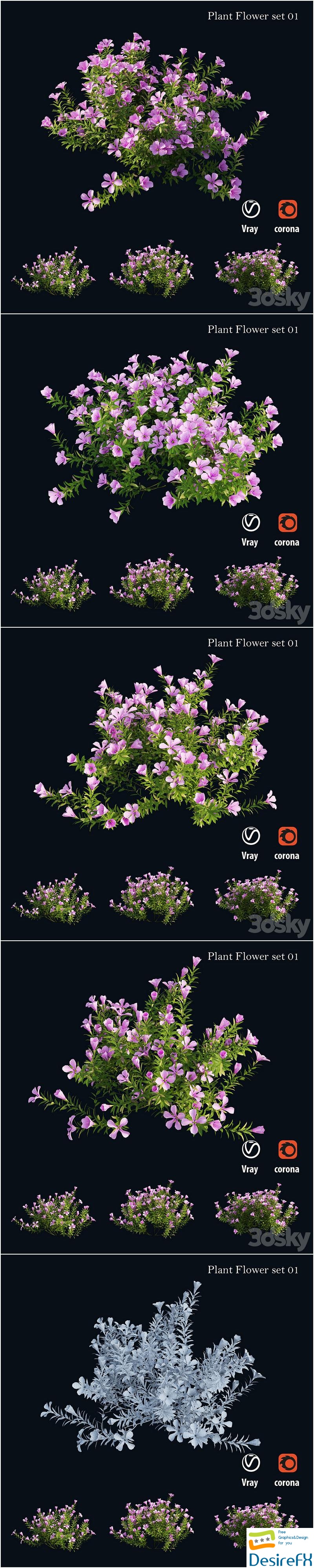Plant Flower set 01 3D Model