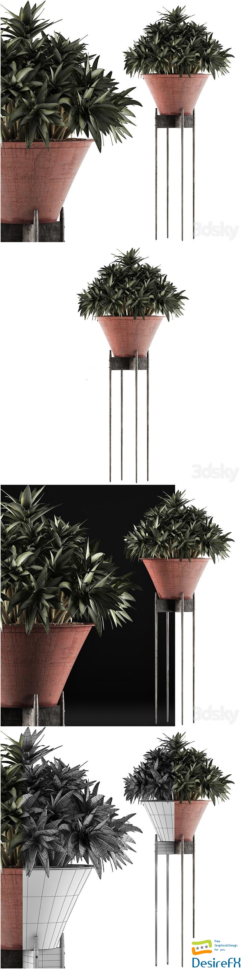 Plants Collection 49 3D Model