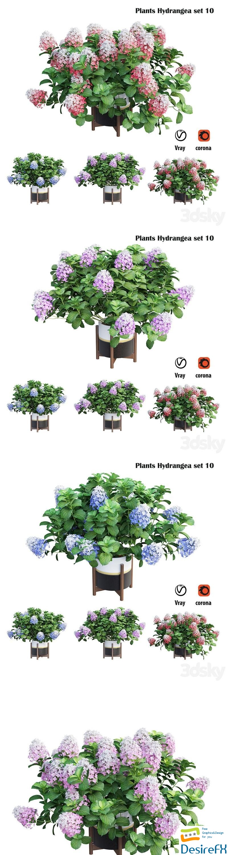 Plants Hydrangea set 10 3D Model