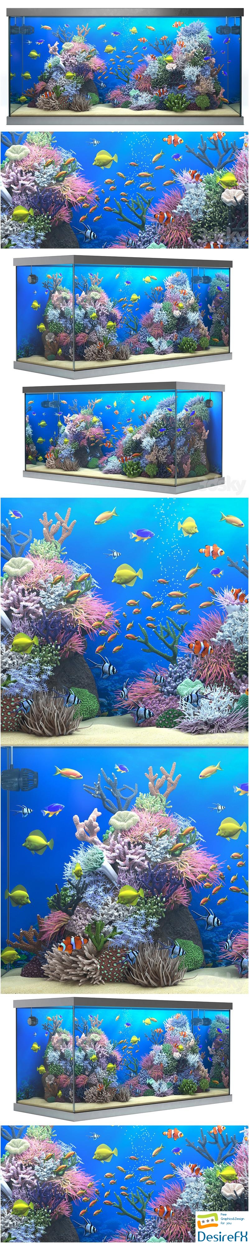 Seawater aquarium 3D Model