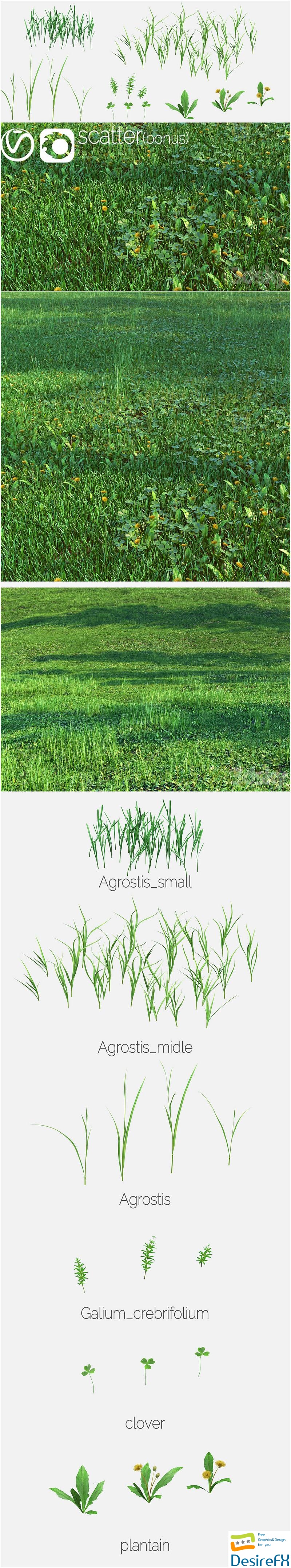 Set for the creation of field grass and lawns 3D Model