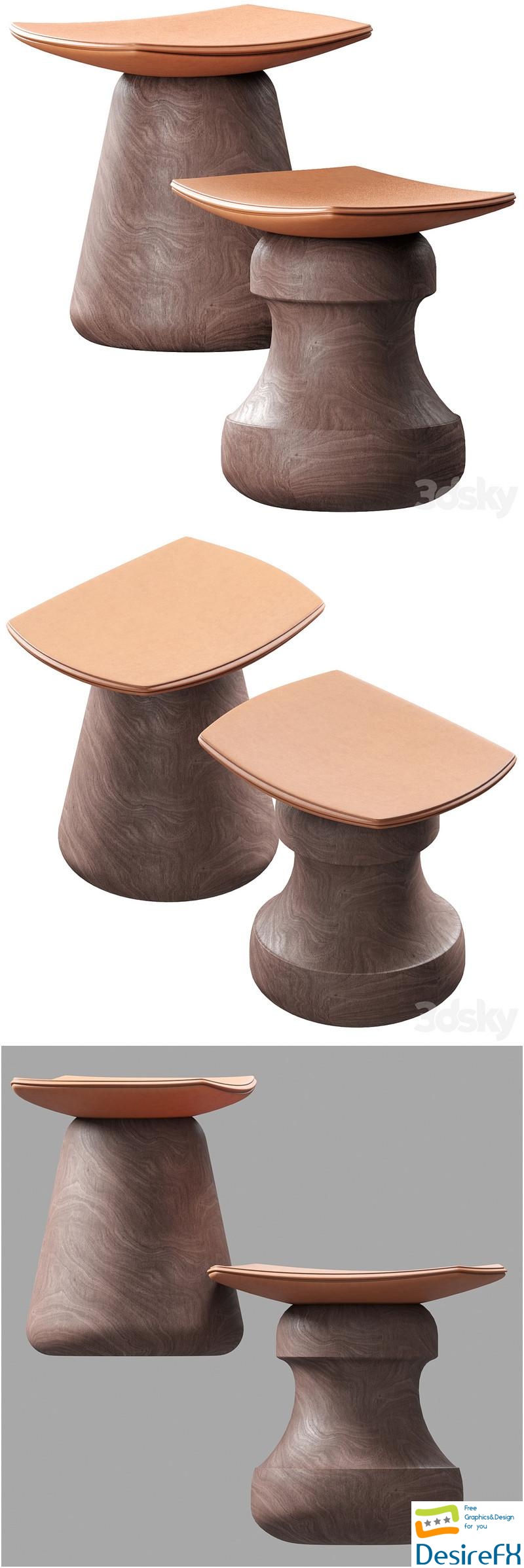 Set stool ROI and MAT 3D Model