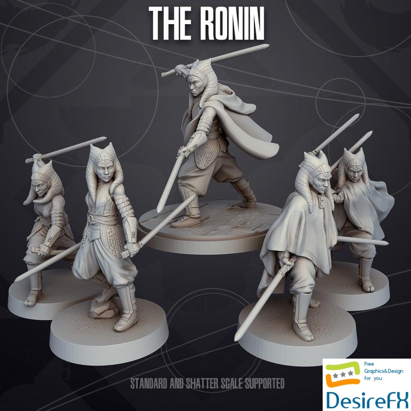 The Ronin - 3D Print