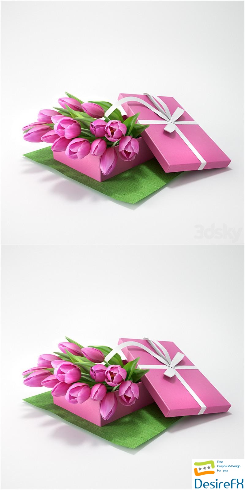Tulips in a gift 3D Model