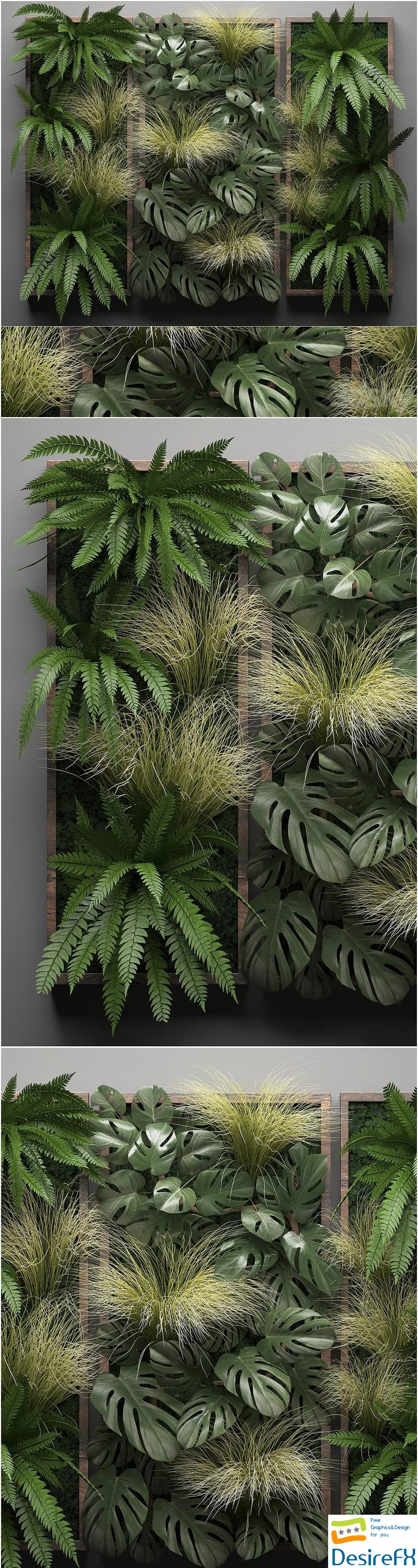 Vertical garden 28. Phytowall, picture, grass, fern, monstera, wall decor, phytomodule, vertical garden 3D Model