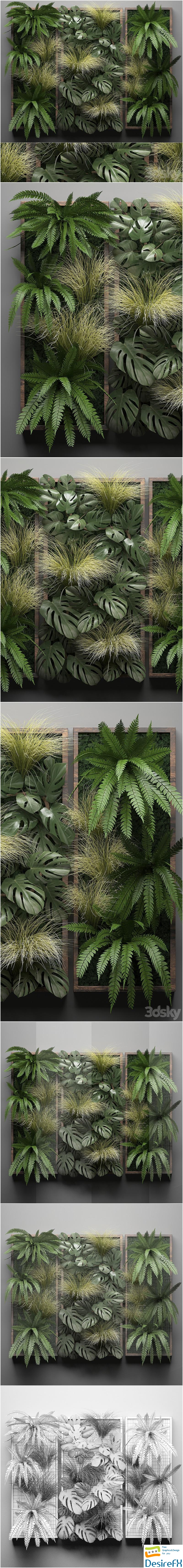 Vertical garden 28. Phytowall, picture, grass, fern, monstera, wall decor, phytomodule, vertical garden 3D Model