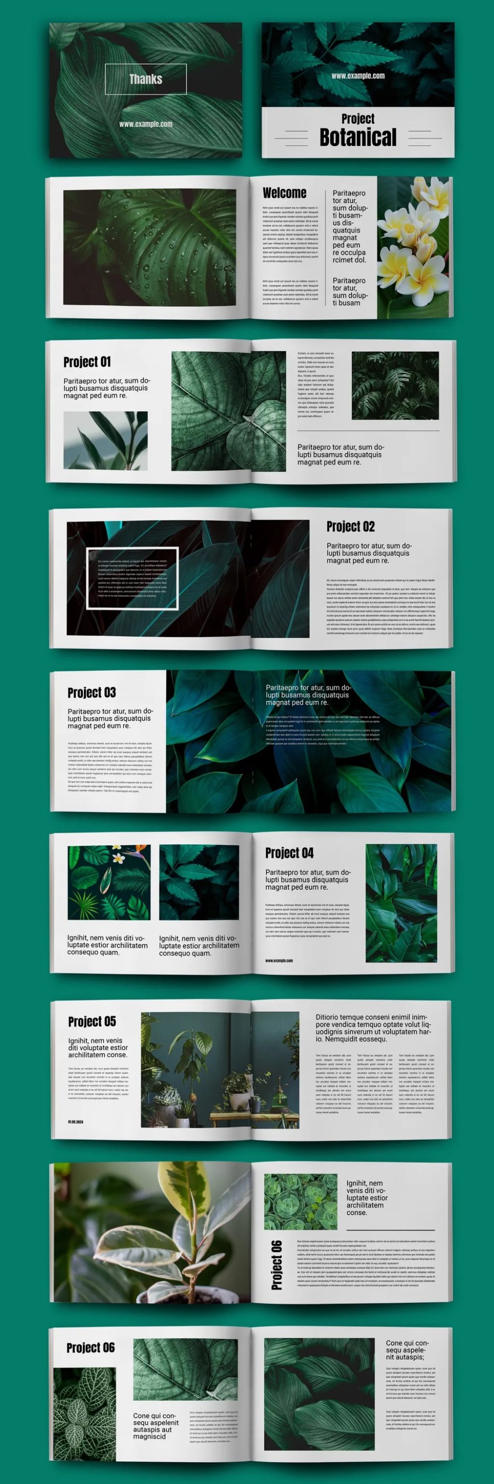 Adobestock - Botanical Magazine Layout 725230234