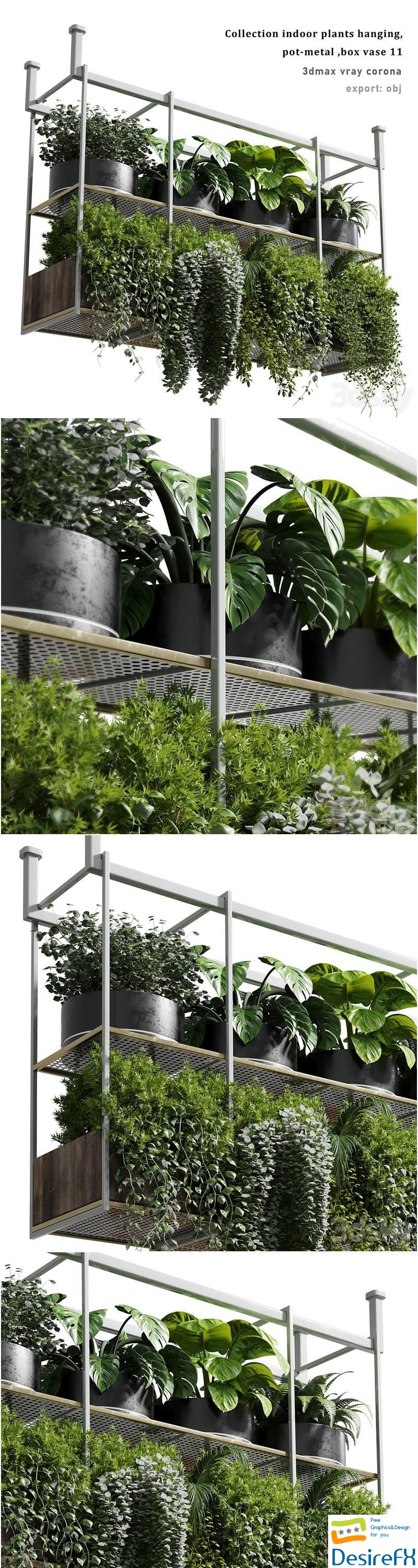 Collection Indoor plants hanging pot-metal bax vase 11 3D Model
