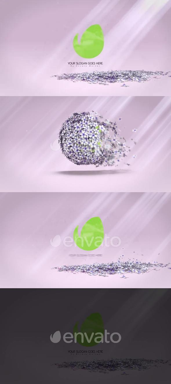 Flourishing Logo Unveil | After Effects 51812873 Videohive