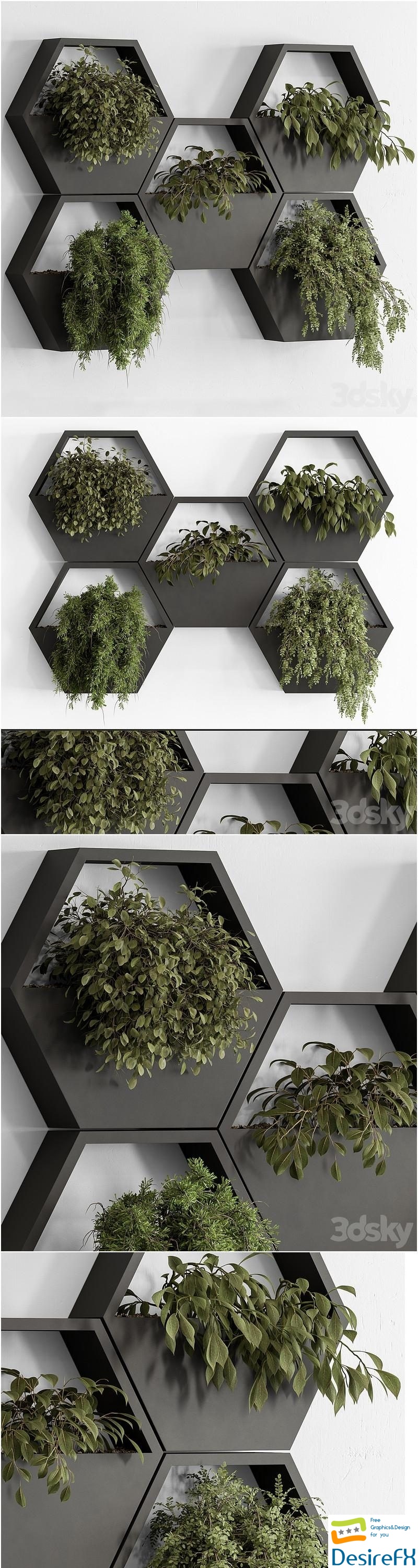 indoor Plant 536 - Hanging Plants 3D Model