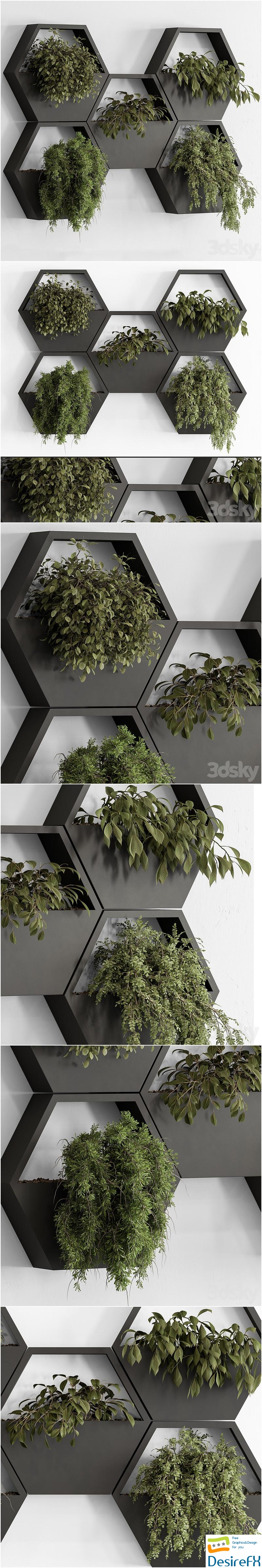 indoor Plant 536 - Hanging Plants 3D Model