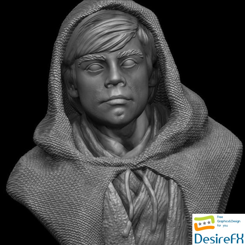 Luke Skywalker Bust 3D Print