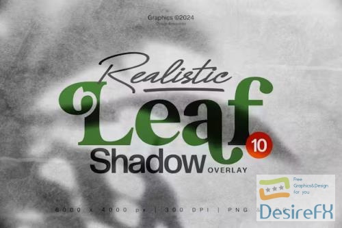 Realistic Leaf Shadow Overlay - 2KQGKHH