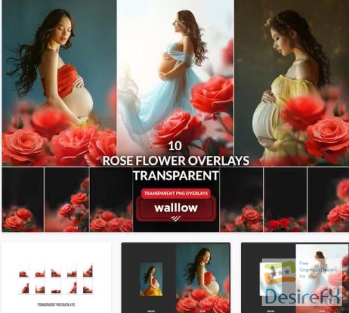 Rose flower transparent PNG Photoshop overlays - UQKTUVF